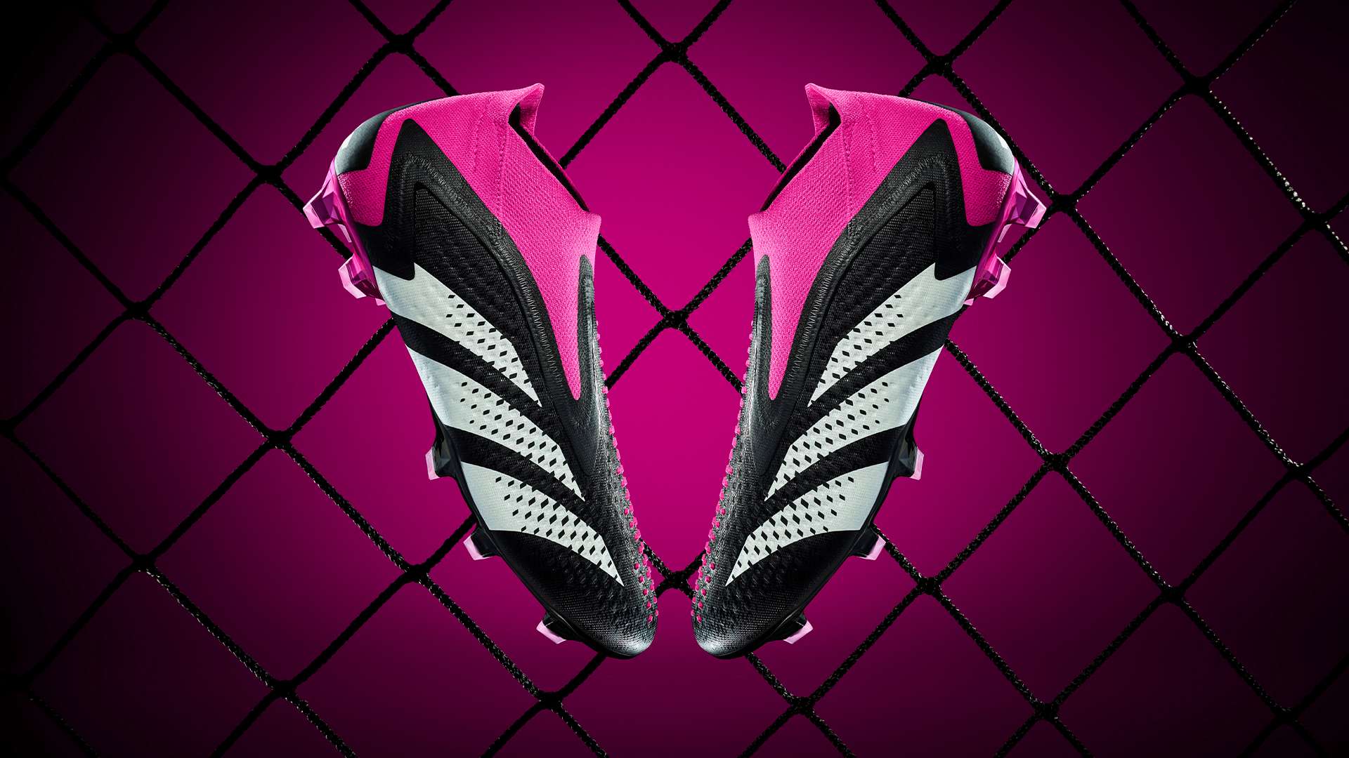 们不断进步 们不断进步