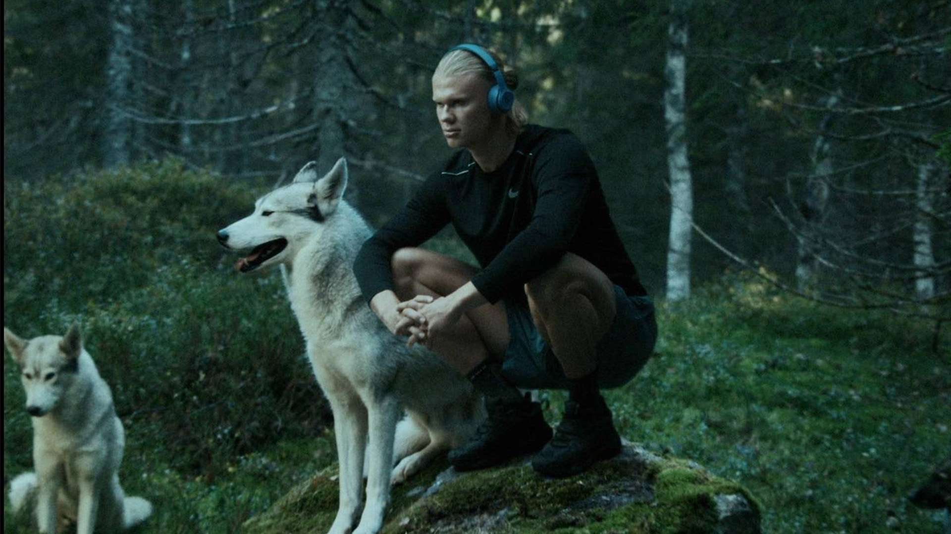 吉斯傷癒復 吉斯傷癒復